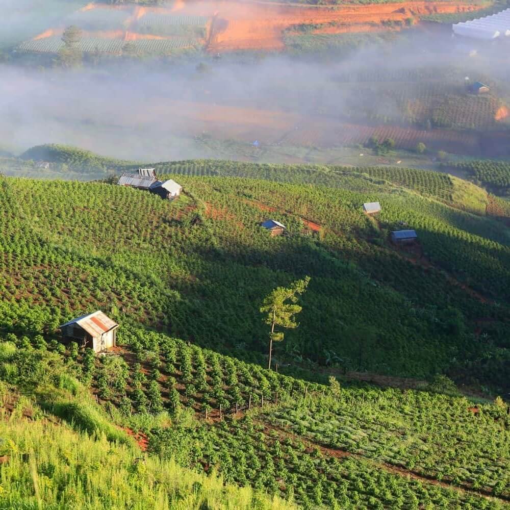 Terasovité plantáže farmy Indois