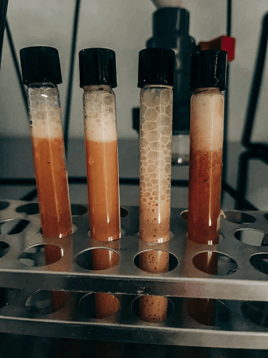 Octová fermentace ve světě kávy bývá nezáměrná.