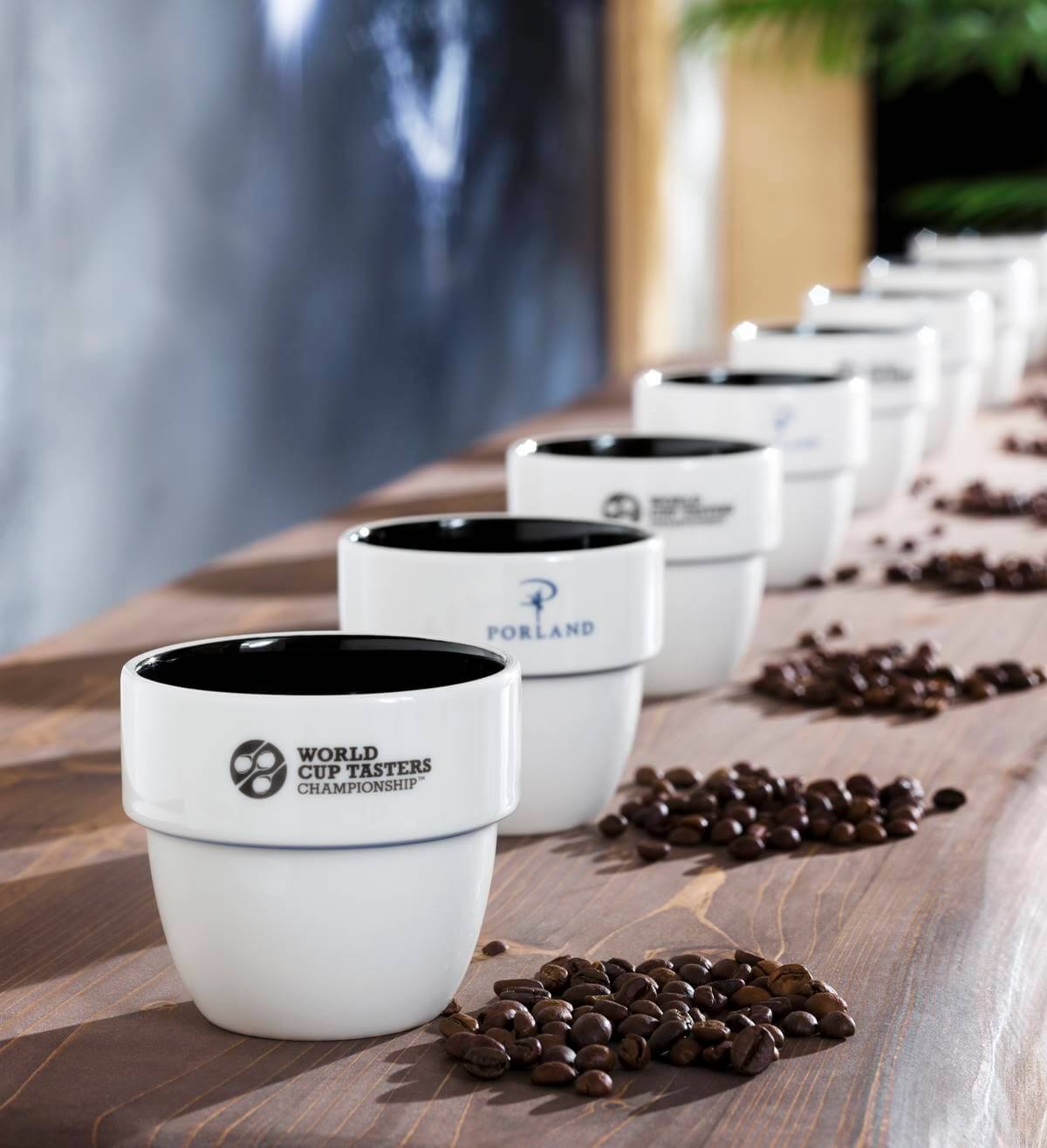Do světového kola Cup Tasters postupují vždy finalisté národních soutěží. 
