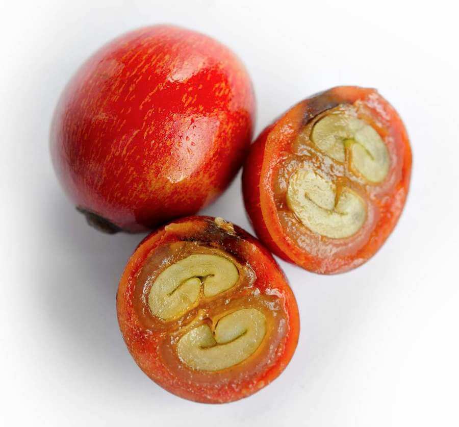 V dnešní éře experimentálních procesů zpracování kávy se někteří farmáři pouští i do kontrolované octové fermentace.