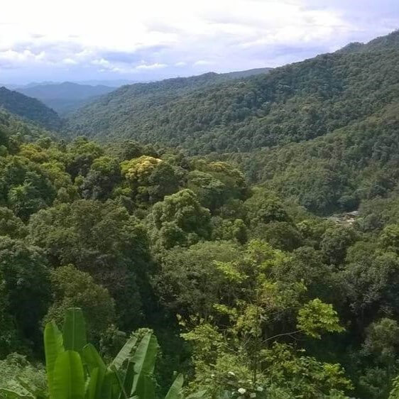Thajská krajina s obrovským potenciálem