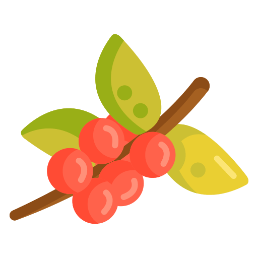Sarchimor