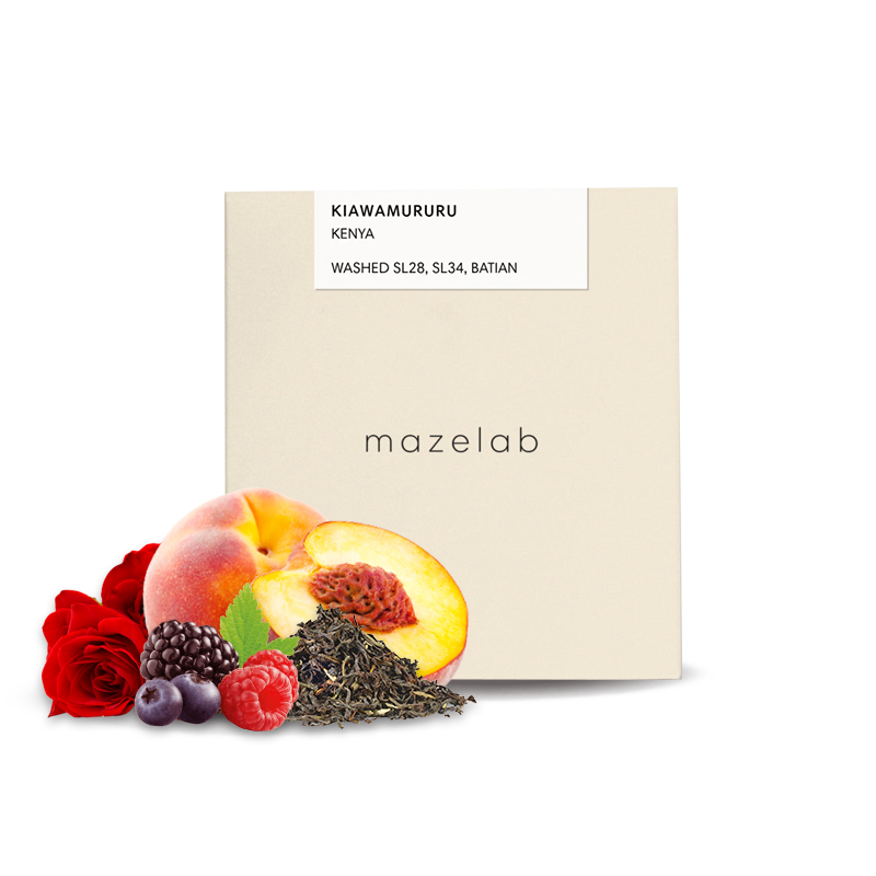 Výběrová káva Mazelab Keňa KIAWAMARURU