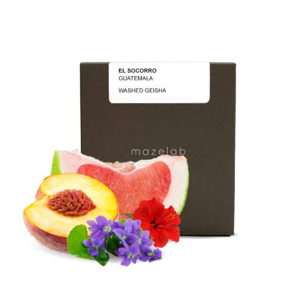 Výběrová káva Mazelab Guatemala EL SOCORRO - geisha - 50g
