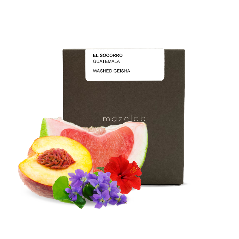 Výběrová káva Mazelab Guatemala EL SOCORRO - geisha - 50g