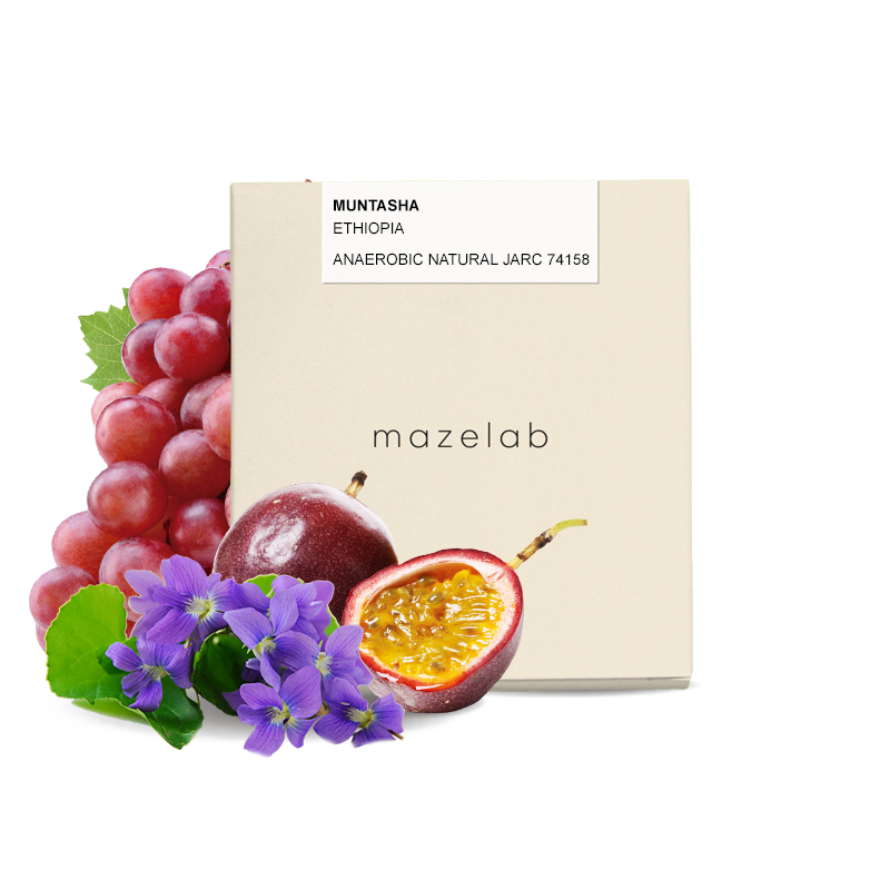 Výběrová káva Mazelab Etiopie MUNTASHA ANAEROBIC NATURAL