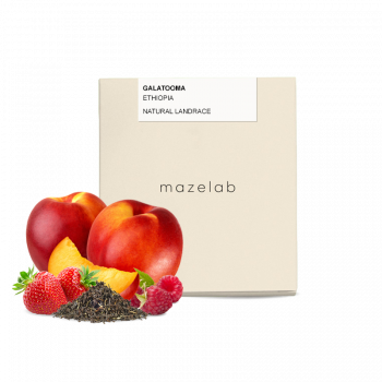 Etiopie GALATOOMA - Mazelab