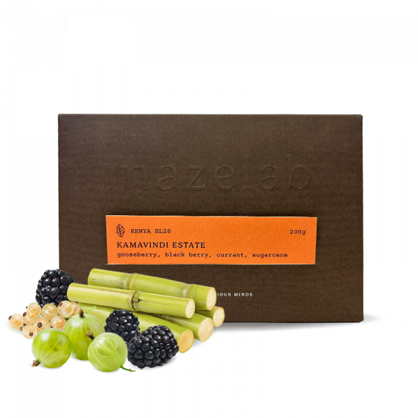 Výběrová káva Mazelab Keňa KAMAVINDI SL28