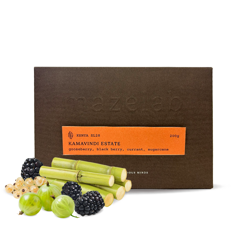 Výběrová káva Mazelab Keňa KAMAVINDI SL28