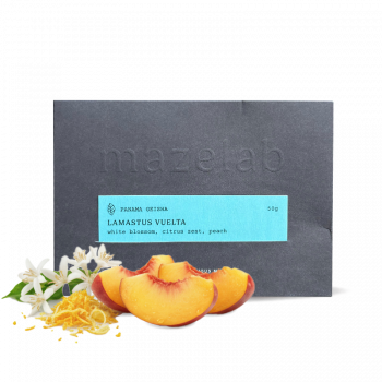 Panama LAMASTUS VUELTA - 50g - Mazelab