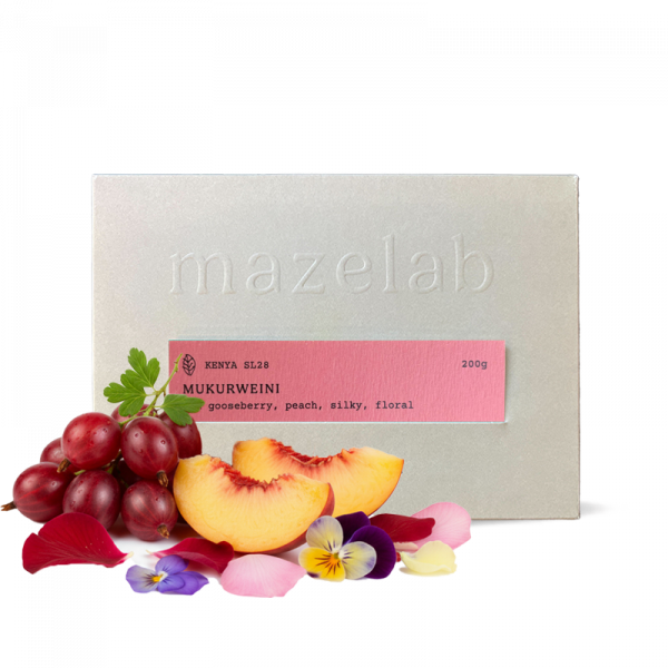 Výběrová káva Mazelab Keňa MUKURWEINI WASHED