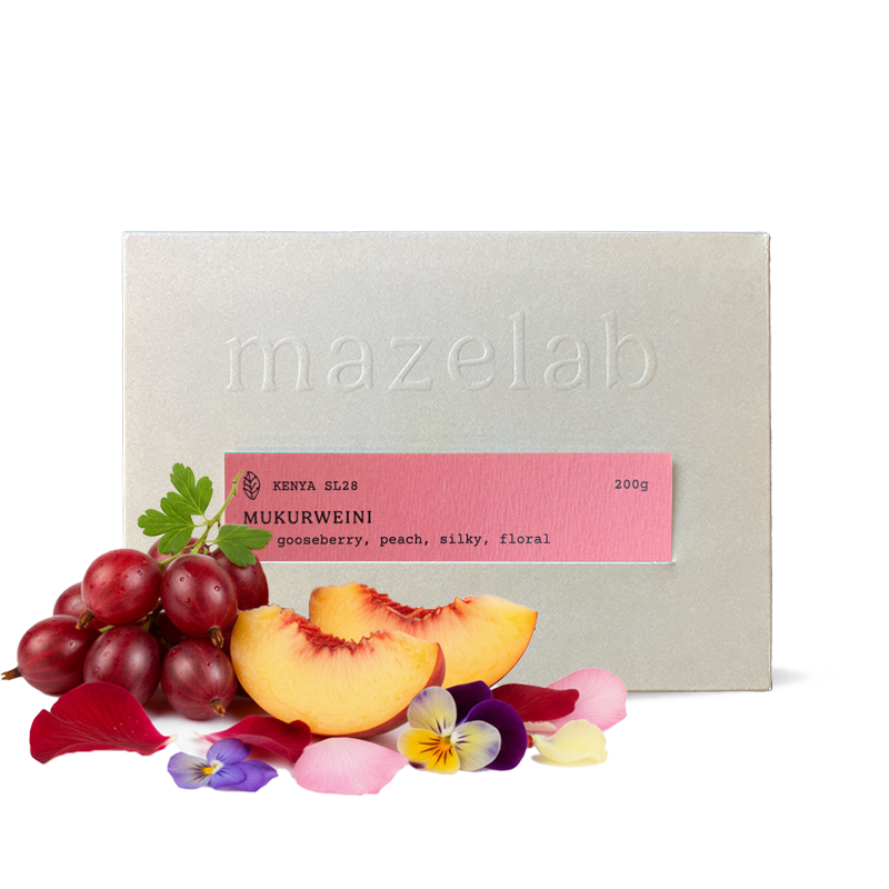 Výběrová káva Mazelab Keňa MUKURWEINI WASHED