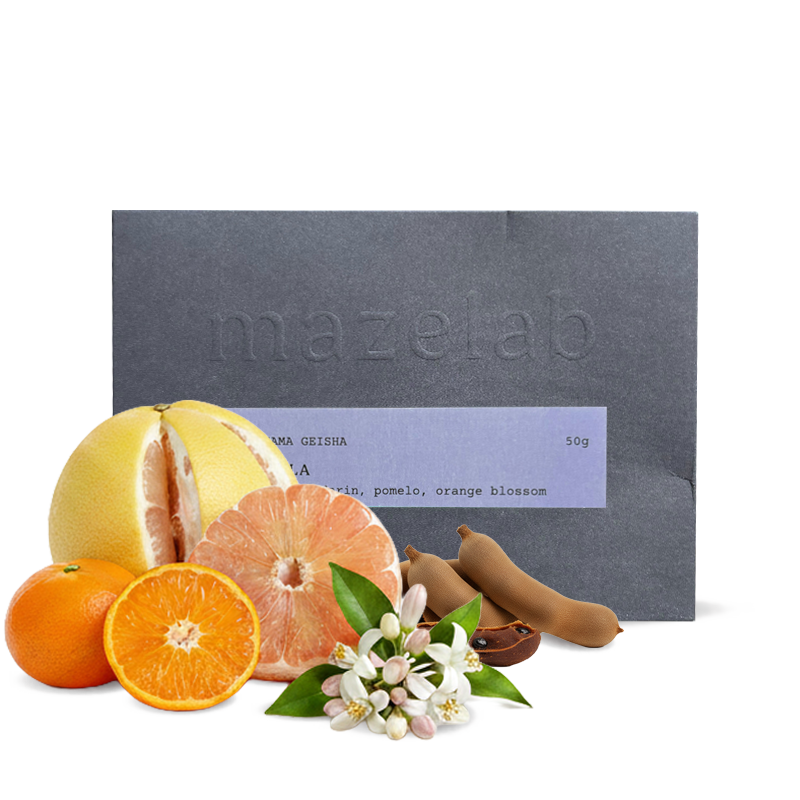 Výběrová káva Mazelab Panama AGRICOLA #202 - geisha - 50g