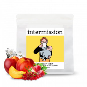 Etiopie ABOUT LAST NIGHT - Intermission Coffee