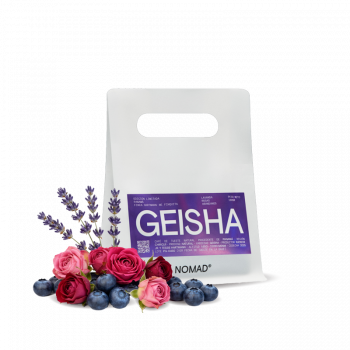 Panama FINQUITA (GEISHA) - 100g - Nømad Coffee