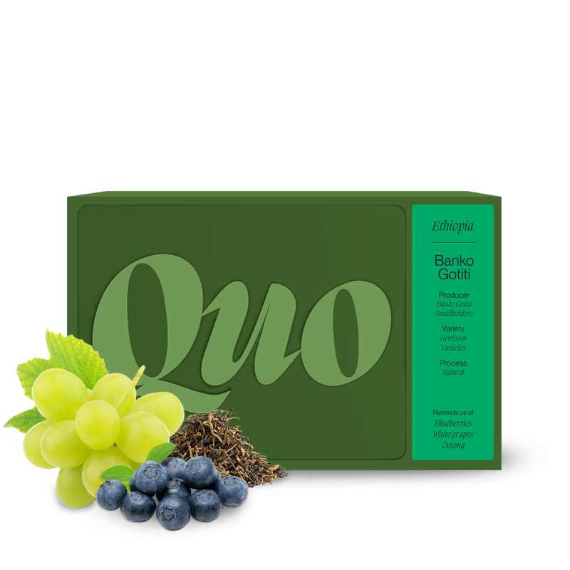 Výběrová káva Quo Coffee Etiopie BANKO GOTITI