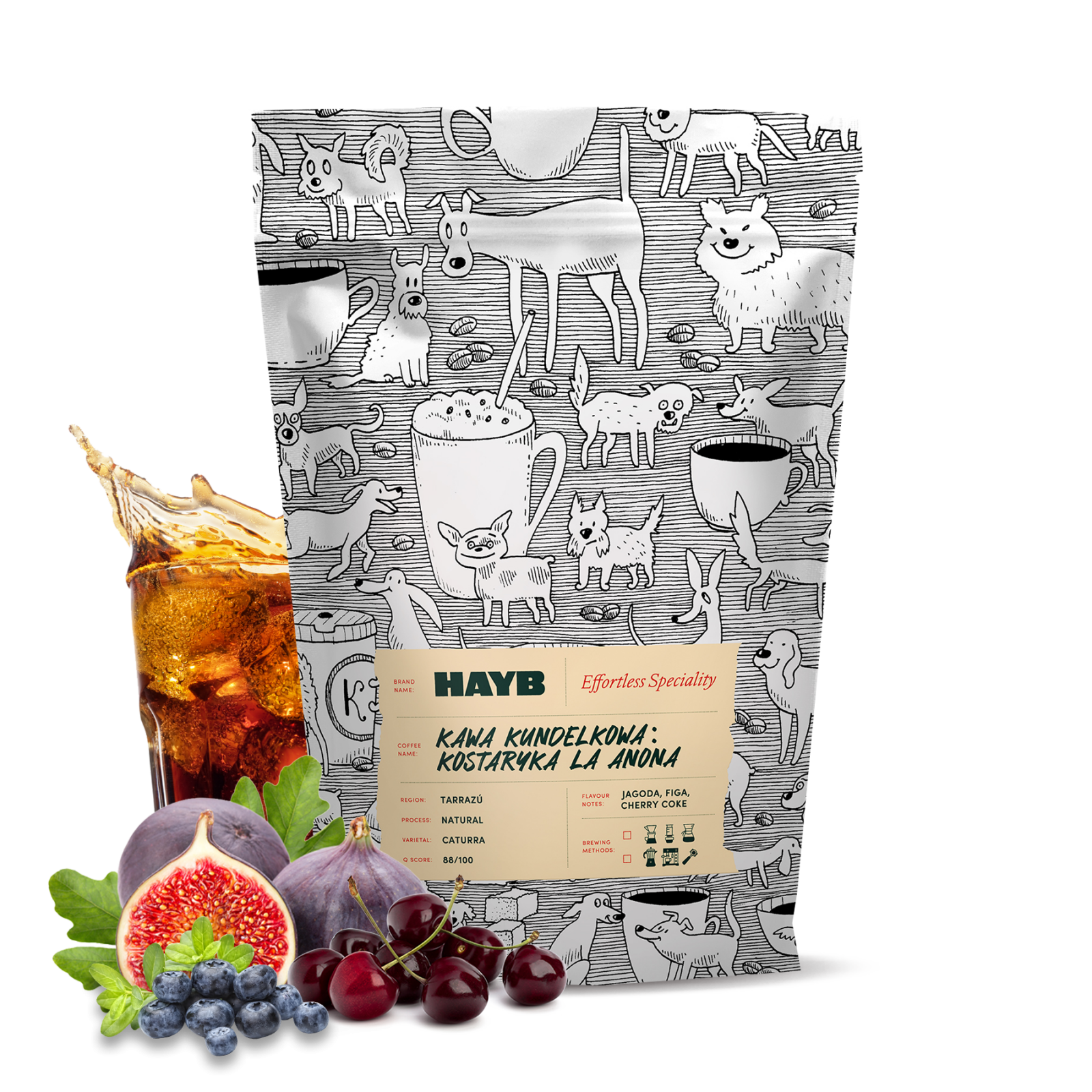 Výběrová káva HAYB Speciality Coffee Kostarika LA ANONA - Kawa Kundelkowa - filtr