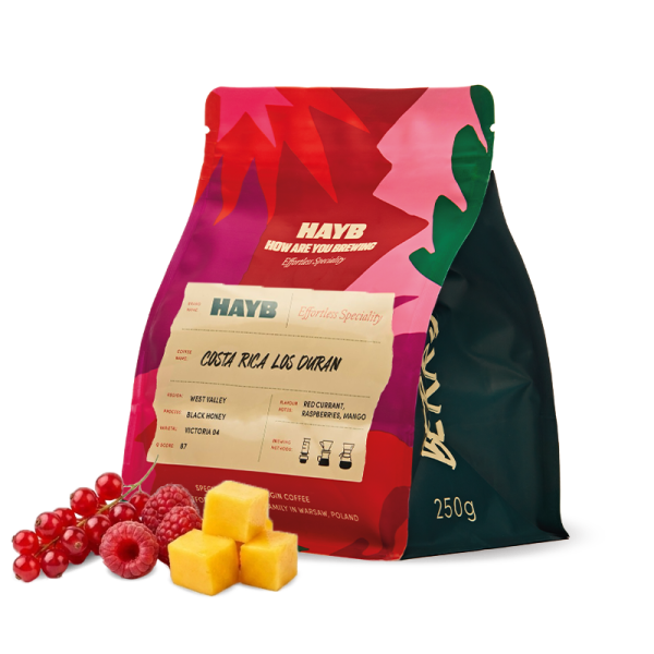 Výběrová káva HAYB Speciality Coffee Kostarika LOS DURAN