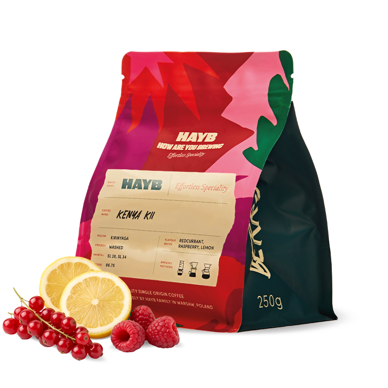 Výběrová káva HAYB Speciality Coffee Keňa KII
