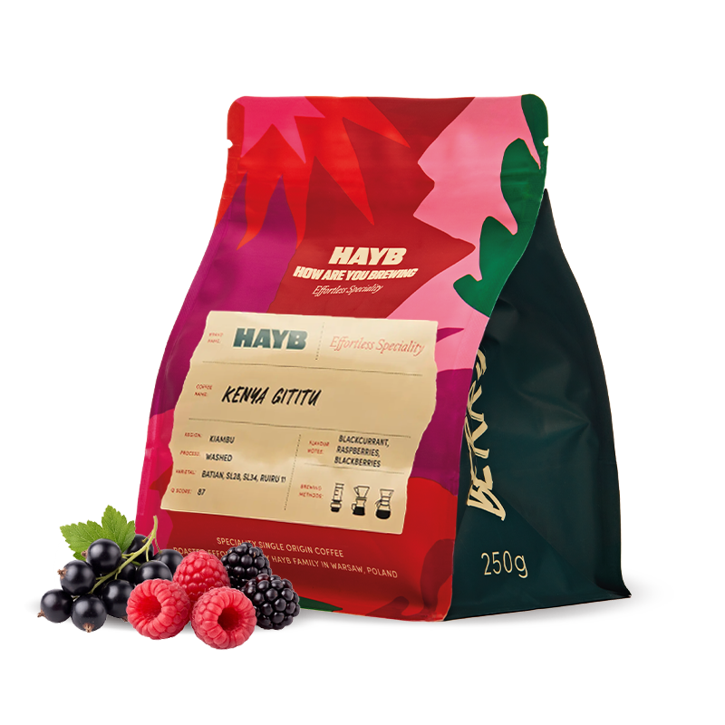 Výběrová káva HAYB Speciality Coffee Keňa GITITU - filtr
