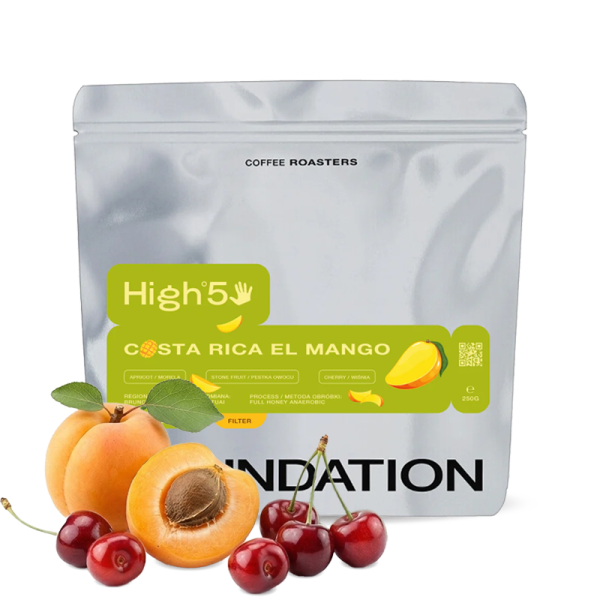 Výběrová káva Foundation Coffee Kostarika EL MANGO