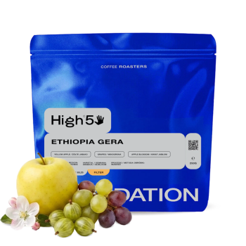 Etiopie GERA - Foundation Coffee