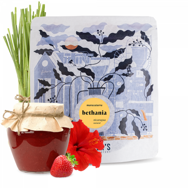 Výběrová káva Father's Coffee Roastery Nikaragua BETHANIA MARACATURRA
