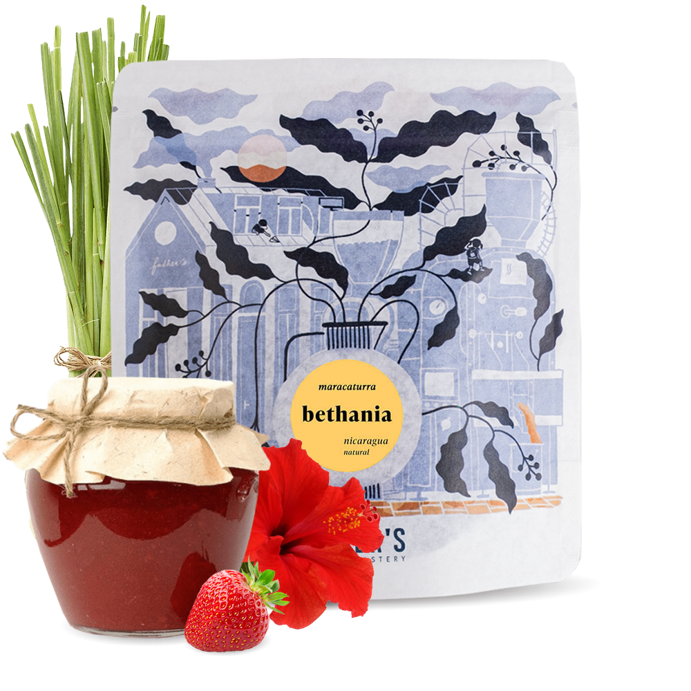 Výběrová káva Father's Coffee Roastery Nikaragua BETHANIA MARACATURRA