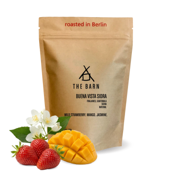 Guatemala BUENA VISTA - sidra - 200g - The Barn