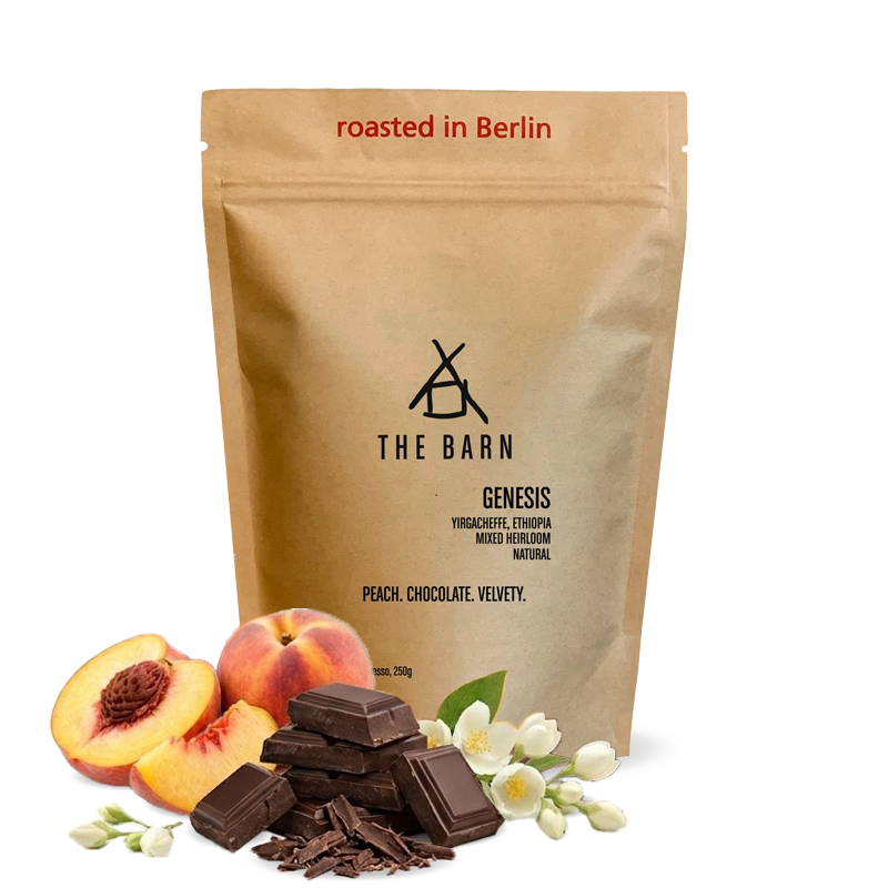 Výběrová káva The Barn Etiopie GENESIS