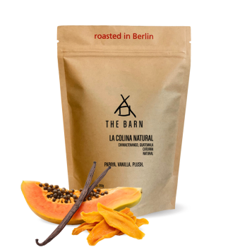 Guatemala LA COLINA NATURAL - The Barn