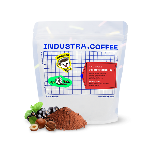 Výběrová káva Industra Coffee Guatemala DEL VALLE
