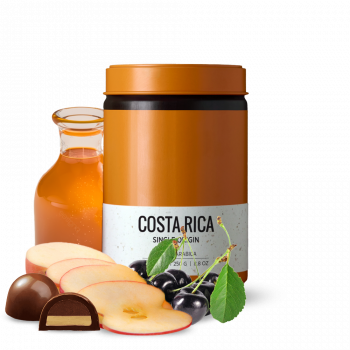 Kostarika VILLA SARCHI - Herz Coffee Roasters