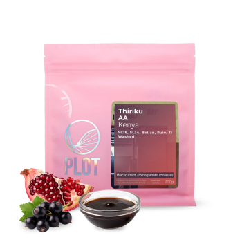 Keňa THIRIKU AA – 200 g - PLOT roasting