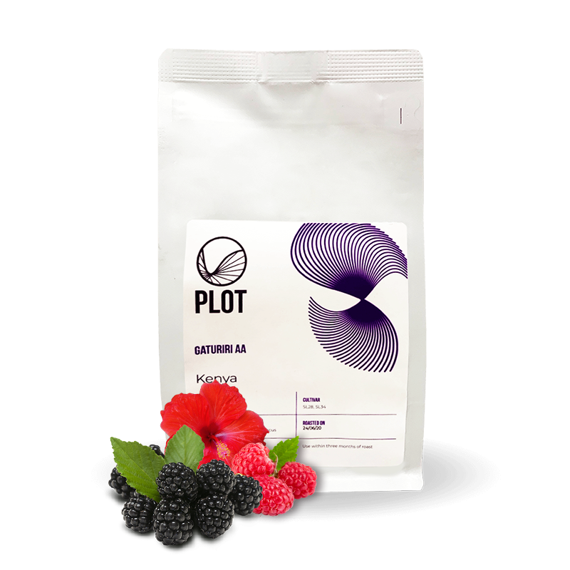 Výběrová káva PLOT roasting Keňa GATURIRI AA
