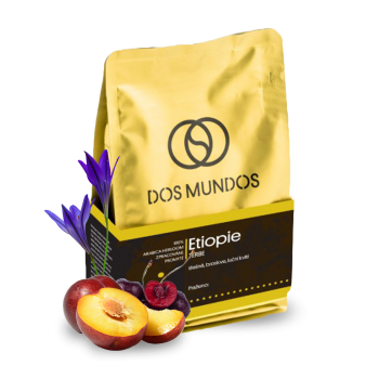 Etiopie TERBE - Dos Mundos
