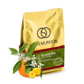 Kostarika HACHA DE PIEDRA - Dos Mundos