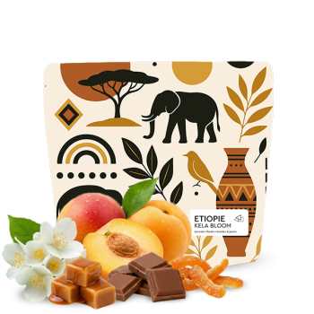 Etiopie KELA BLOOM - Jedno Kafe