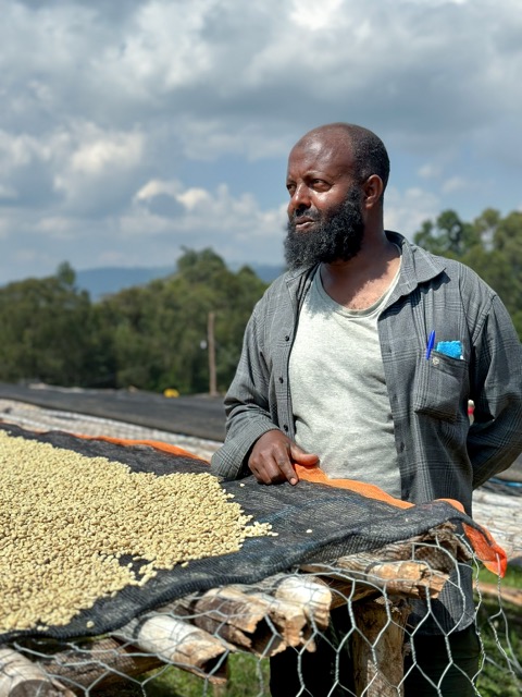 Etiopie LIMU BLOOM - speciální jarní edice | Jedno Kafe | Kofio.cz