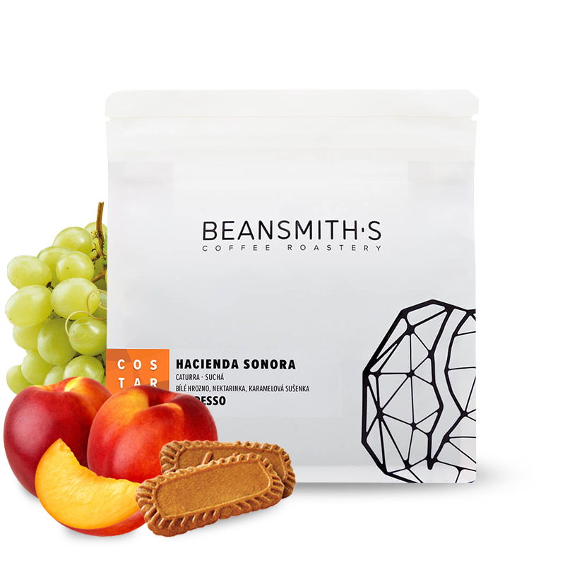 Výběrová káva Beansmith.s Kostarika HACIENDA SONORA