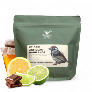 Etiopie ANFILLOO HIGHLANDS - BirdSong Coffee