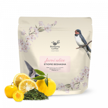 Etiopie BESHASHA - jarní edice - BirdSong Coffee