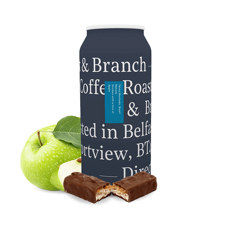 Výběrová káva Root & Branch Coffee Brazílie TELMA MACHADO