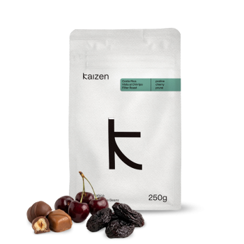Kostarika VISTA AL CHIRRIPO - Kaizen Coffee Roasters
