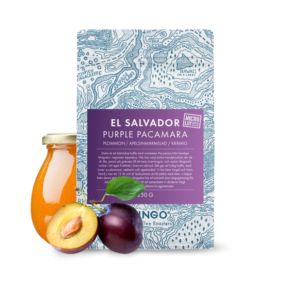 Výběrová káva Gringo Nordic El Salvador PURPLE PACAMARA 04/23