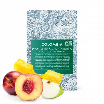 Kolumbie PIAMONTE SLOW CATURRA - Gringo Nordic