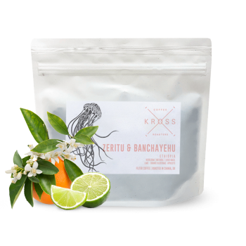 Etiopie ZERITU & BANCHAYEHU - Kross Coffee Roasters