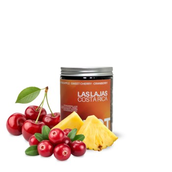 Kostarika LAS LAJAS - 120 g - Gust. Specialty Coffee