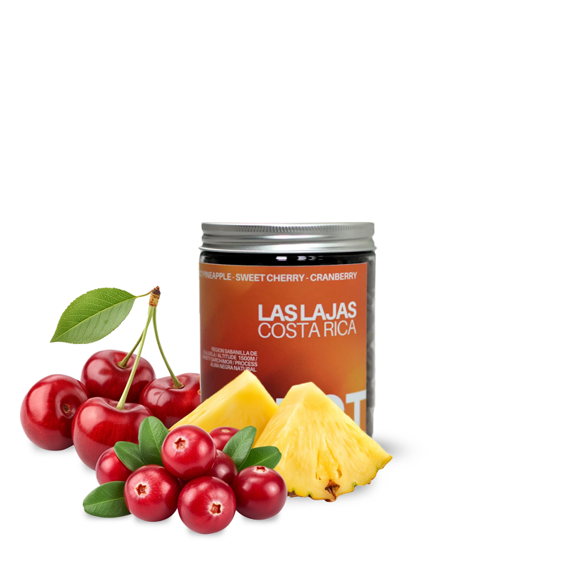 Výběrová káva Gust. Specialty Coffee Kostarika LAS LAJAS - 120 g