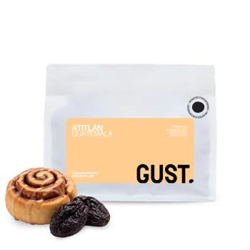 Guatemala ATITLÁN - Gust. Specialty Coffee